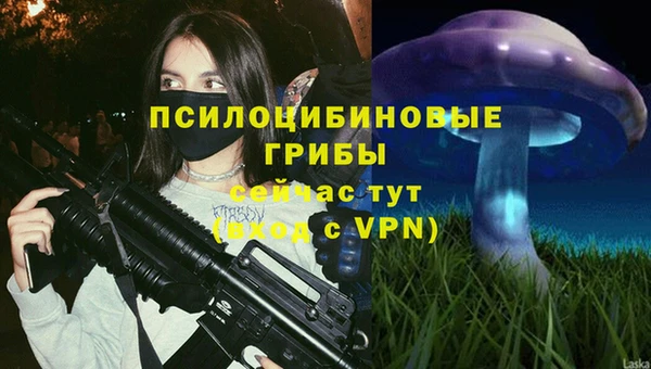 сатива Алзамай