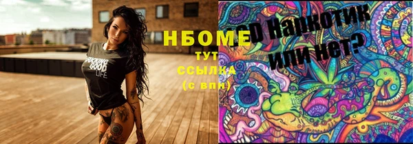 сатива Алзамай