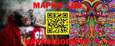 Альфа ПВП Дубна