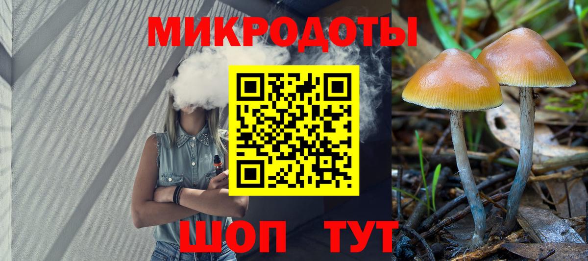 Галлюциногенные грибы мицелий Павловский Посад