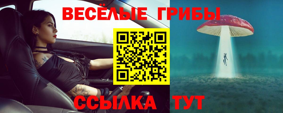 Псилоцибиновые грибы Psilocybe  Вход с VPN  где найти   Павловский Посад 