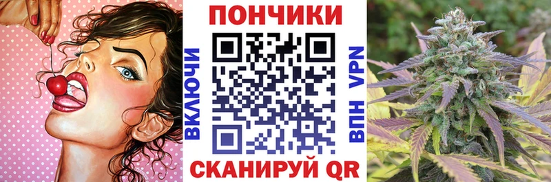 Шишки марихуана Bruce Banner Павловский Посад
